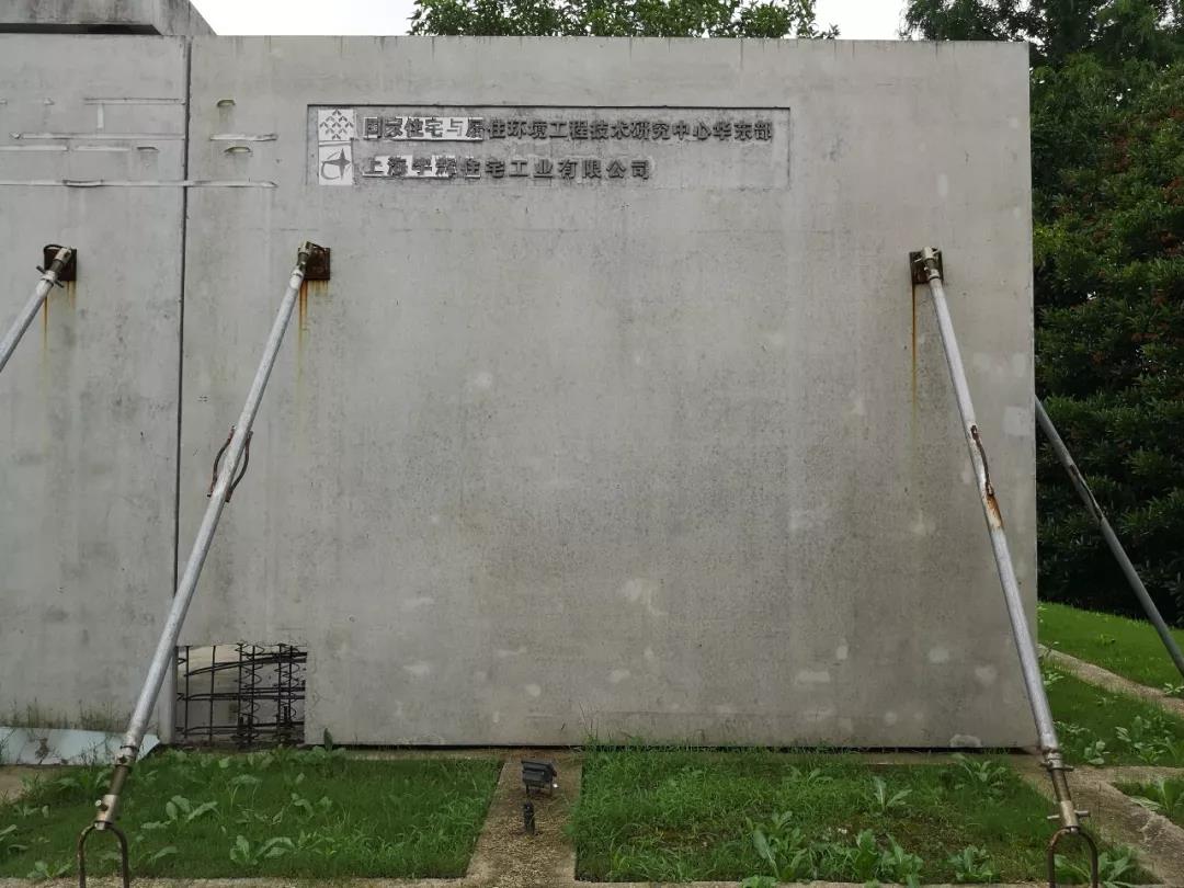 1588734838448620.jpg